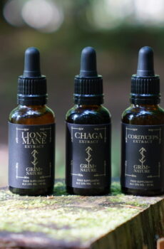 Bundle Lions Mane, Cordyceps and Chaga