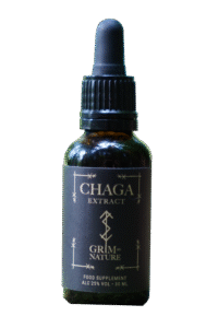 Chaga